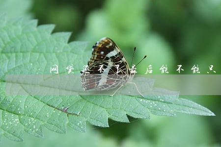 网贷还不了最后能不能只还本金 网贷还不了最后能不能只还本金