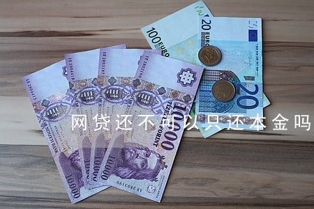 网贷还不可以只还本金吗 网贷还不可以只还本金吗