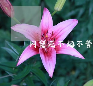 网贷还不起不管了去逾期吧 网贷还不起不管了去逾期吧