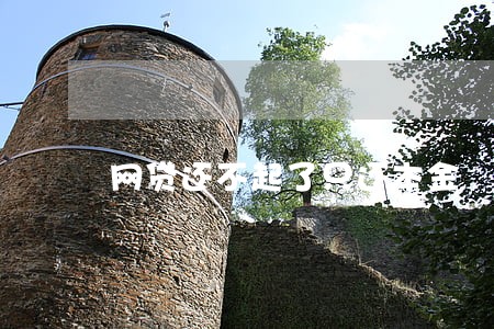 网贷还不起了只还本金 网贷还不起了只还本金