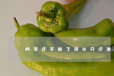 网贷还不起了可以只还本金吗