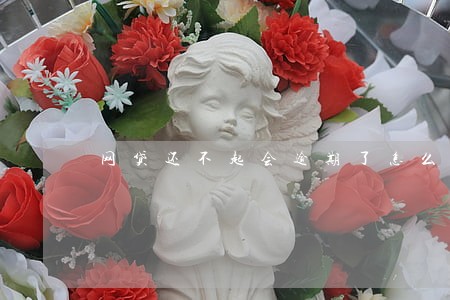网贷还不起会逾期了怎么办