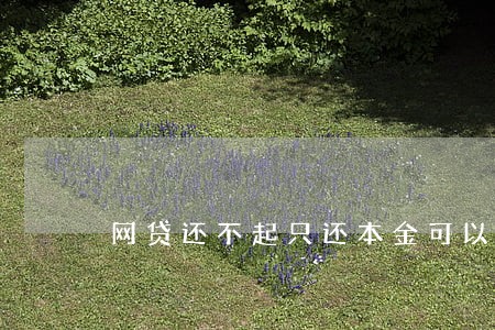网贷还不起只还本金可以吗 网贷还不起只还本金可以吗