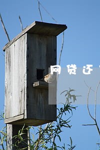 网贷还了一半逾期一年 网贷还了一半逾期一年