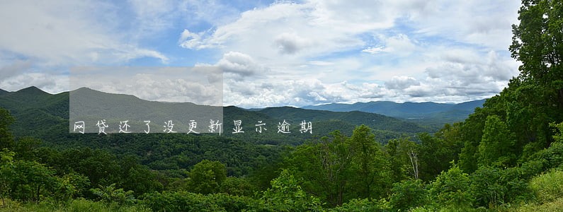 网贷还了没更新显示逾期