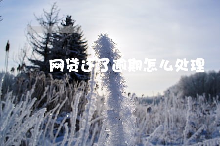 网贷还了逾期怎么处理