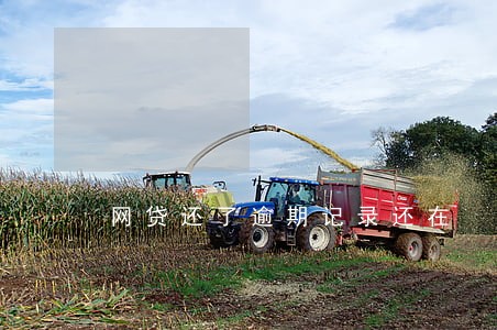网贷还了逾期记录还在 网贷还了逾期记录还在