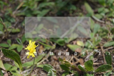 网贷还呗逾期会不会上门 网贷还呗逾期会不会上门