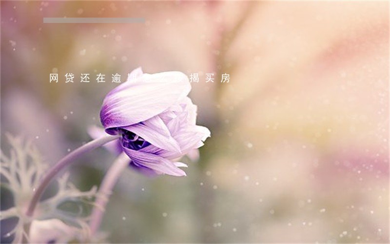 网贷还在逾期怎么按揭买房