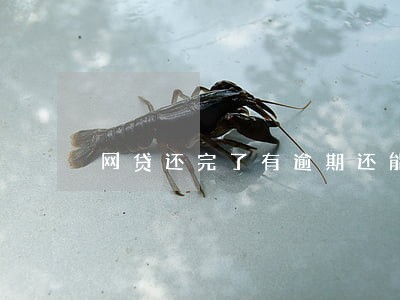 网贷还完了有逾期还能再借吗 网贷还完了有逾期还能再借吗