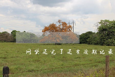 网贷还完了还有逾期记录吗