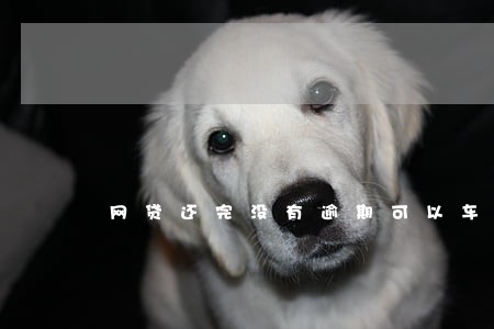 网贷还完没有逾期可以车贷吗 网贷还完没有逾期可以车贷吗