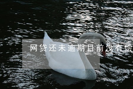 网贷还未逾期目前没有偿还能力