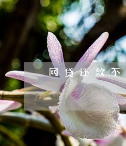 网贷还款不成功导致逾期