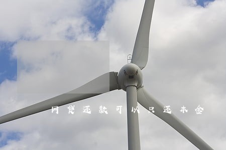 网贷还款可以只还本金 网贷还款可以只还本金