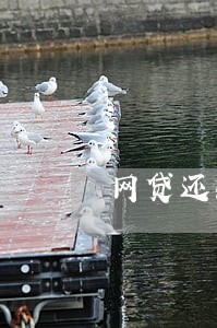 网贷还款日多少天以内算逾期 网贷还款日多少天以内算逾期