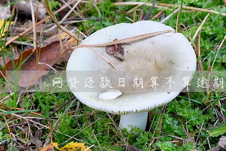 网贷还款日期算不算逾期