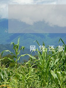 网贷还款晚了几分钟算逾期吗 网贷还款晚了几分钟算逾期吗