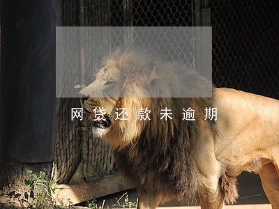 网贷还款未逾期 网贷还款未逾期