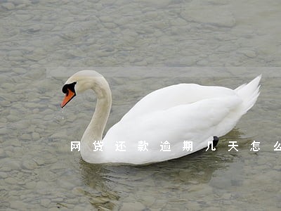 网贷还款逾期几天怎么办 网贷还款逾期几天怎么办