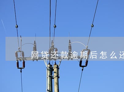 网贷还款逾期后怎么还款 网贷还款逾期后怎么还款