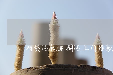 网贷还款逾期还上门催款吗 网贷还款逾期还上门催款吗