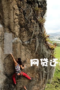 网贷还款逾期还能贷吗 网贷还款逾期还能贷吗