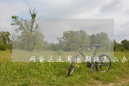 网贷还没有逾期该怎么办 网贷还没有逾期该怎么办