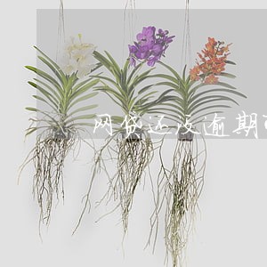 网贷还没逾期可以协商还款吗 网贷还没逾期可以协商还款吗