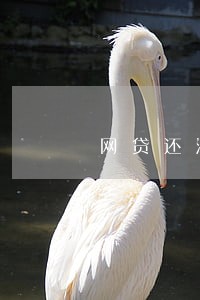 网贷还清了以后没有逾期 网贷还清了以后没有逾期