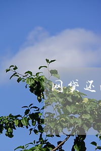 网贷还清后没逾期 网贷还清后没逾期