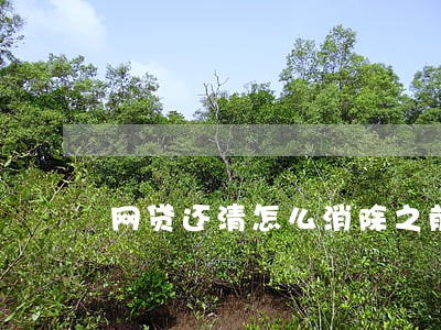 网贷还清怎么消除之前逾期记录 网贷还清怎么消除之前逾期记录