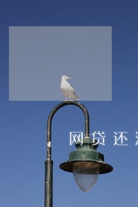 网贷还清怎么消除逾期 网贷还清怎么消除逾期