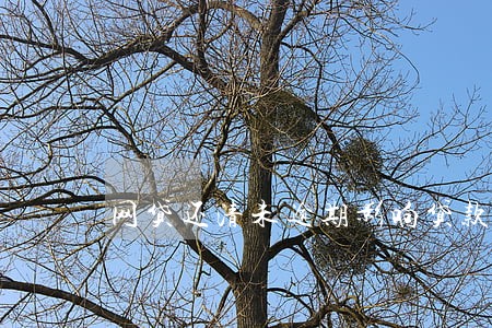 网贷还清未逾期影响贷款吗