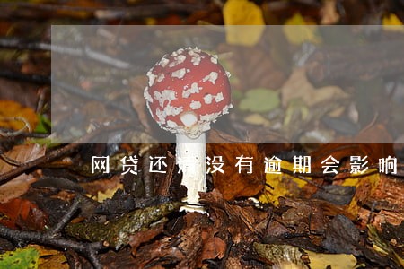 网贷还清没有逾期会影响房贷么 网贷还清没有逾期会影响房贷么