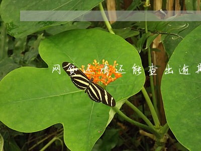 网贷还清还能查出逾期 网贷还清还能查出逾期