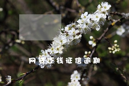 网贷还钱征信逾期 网贷还钱征信逾期
