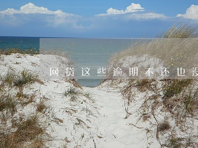 网贷这些逾期不还也没事 网贷这些逾期不还也没事