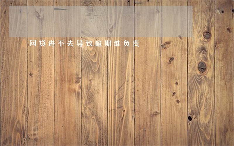 网贷进不去导致逾期谁负责
