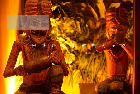 网贷违约金逾期怎么办 网贷违约金逾期怎么办