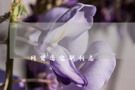 网贷违逾期利息 网贷违逾期利息