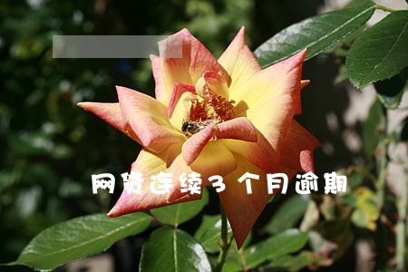 网贷连续3个月逾期 网贷连续3个月逾期