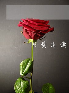 网贷连续4月逾期后果 网贷连续4月逾期后果