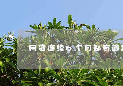 网贷连续6个月都有逾期 网贷连续6个月都有逾期