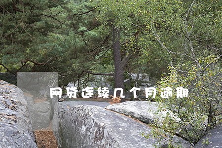 网贷连续几个月逾期 网贷连续几个月逾期