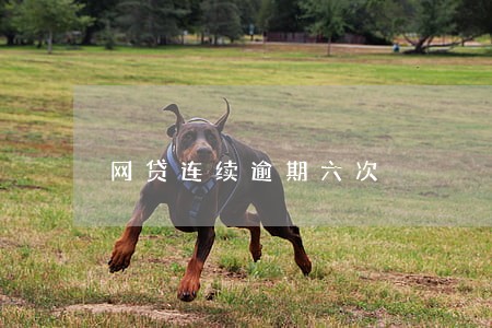 网贷连续逾期六次 网贷连续逾期六次
