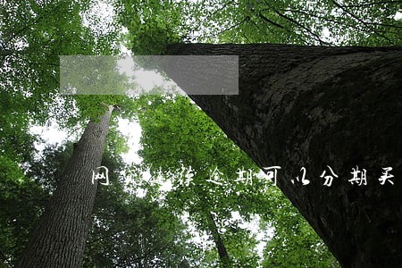 网贷连续逾期可以分期买车吗
