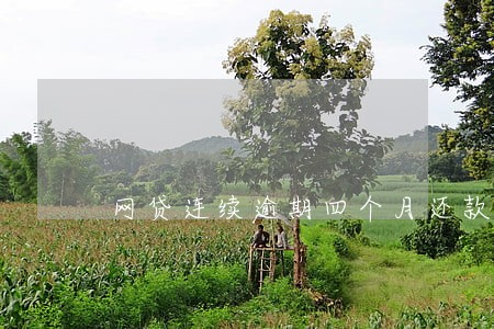 网贷连续逾期四个月还款了 网贷连续逾期四个月还款了