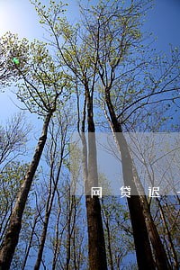 网贷迟一天还算逾期吗 网贷迟一天还算逾期吗
