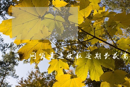网贷通过收取逾期费获高额利润 网贷通过收取逾期费获高额利润